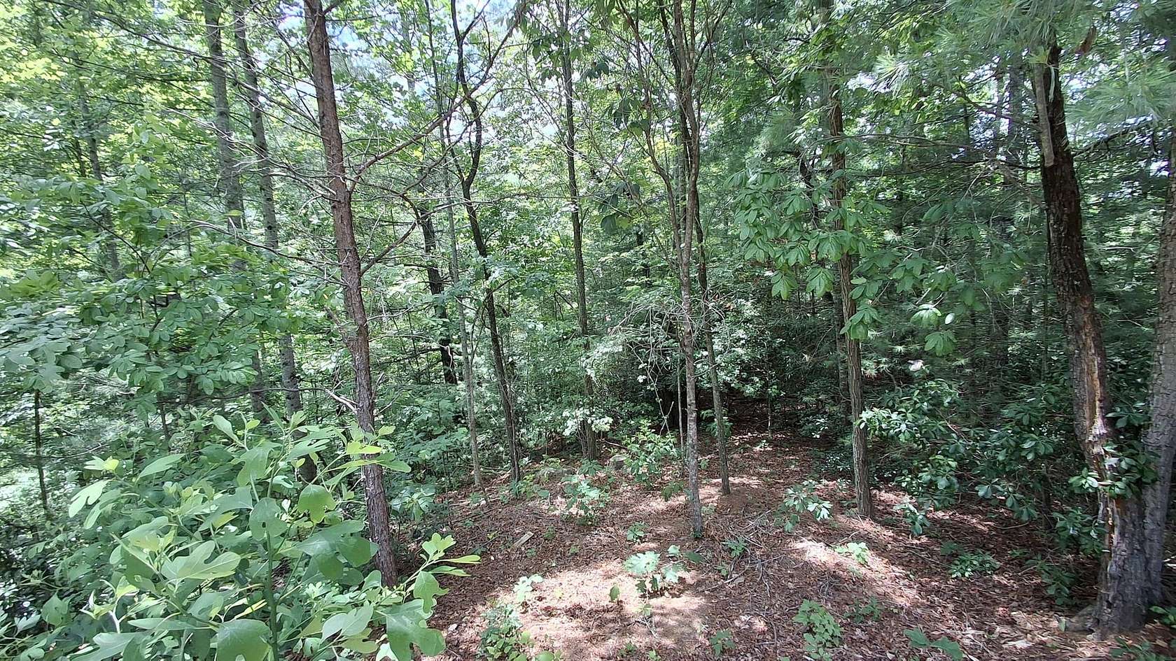 10 Acres of Land for Sale in Bryson City, North Carolina