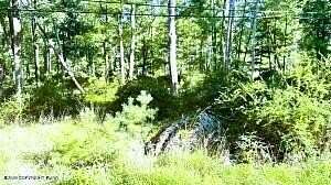 1.74 Acres of Residential Land for Sale in East Stroudsburg, Pennsylvania