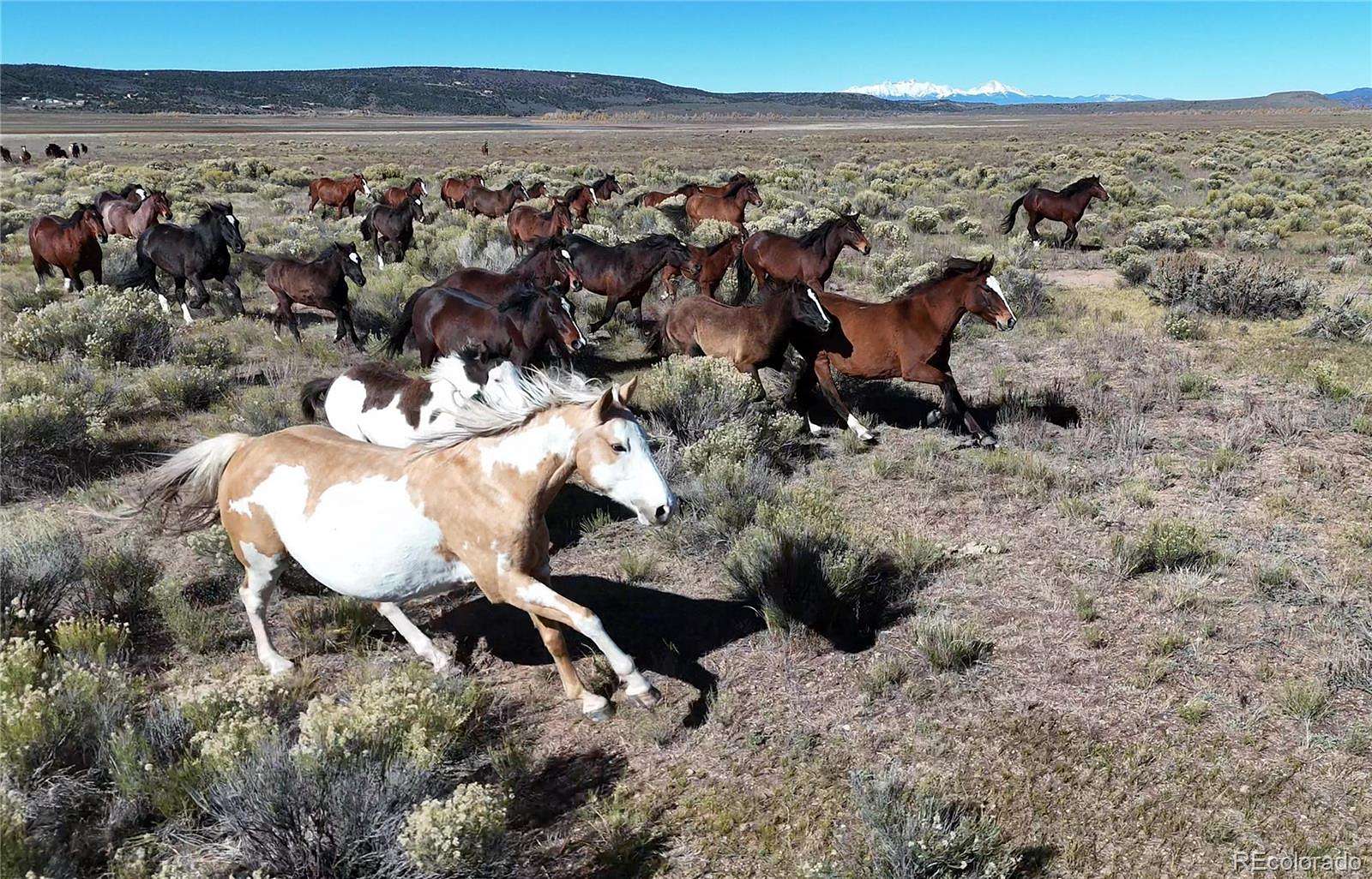 38.6 Acres of Agricultural Land for Sale in San Luis, Colorado