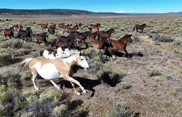 38.6 Acres of Agricultural Land for Sale in San Luis, Colorado