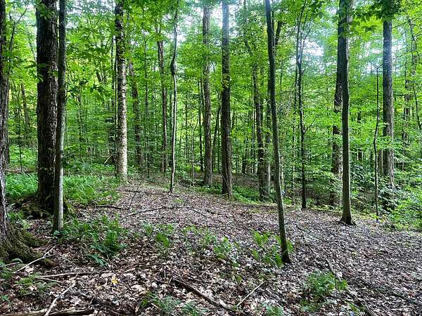 60 Acres of Recreational Land for Sale in Western Town, New York