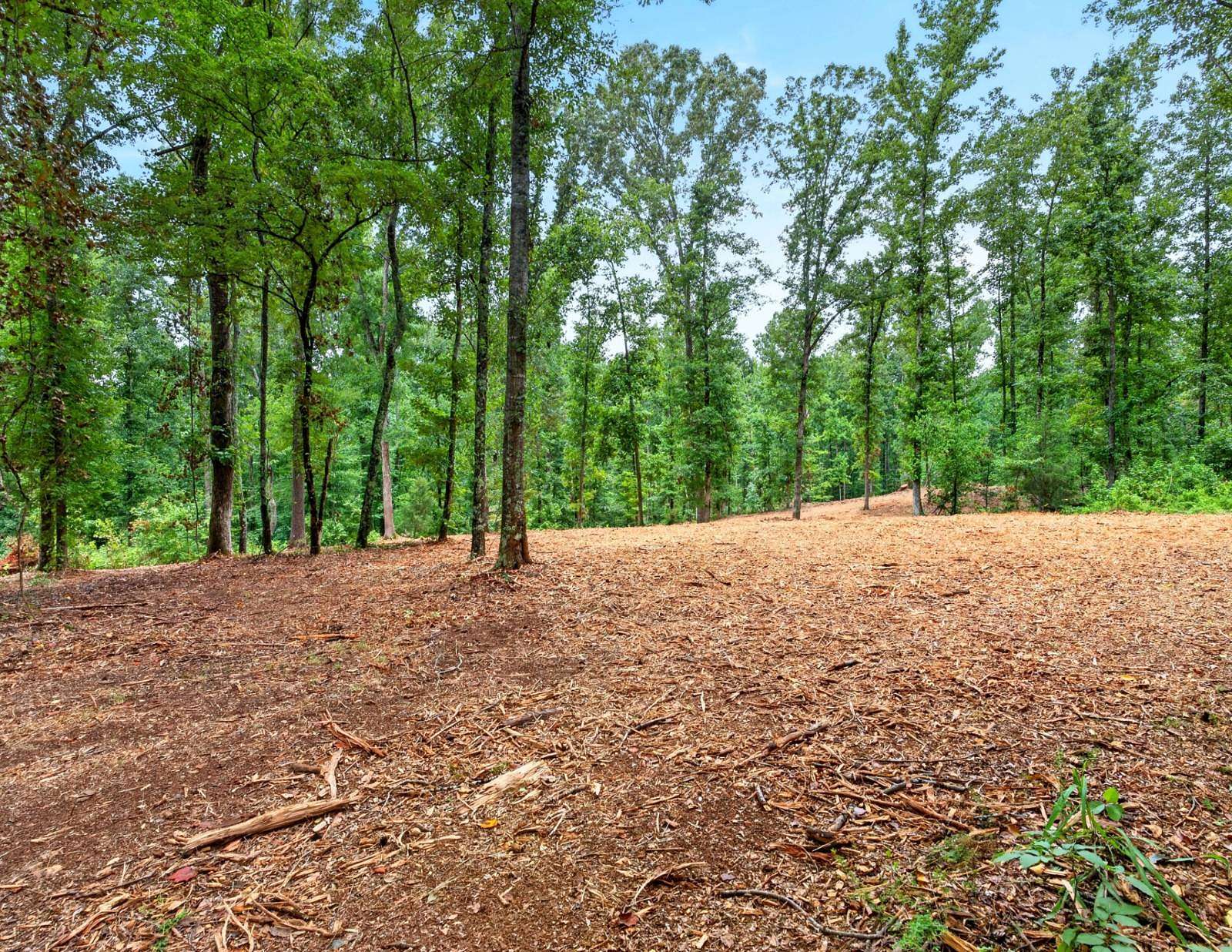16.5 Acres of Land for Sale in Belton, South Carolina