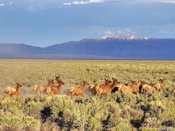 9.1 Acres of Residential Land for Sale in Mosca, Colorado