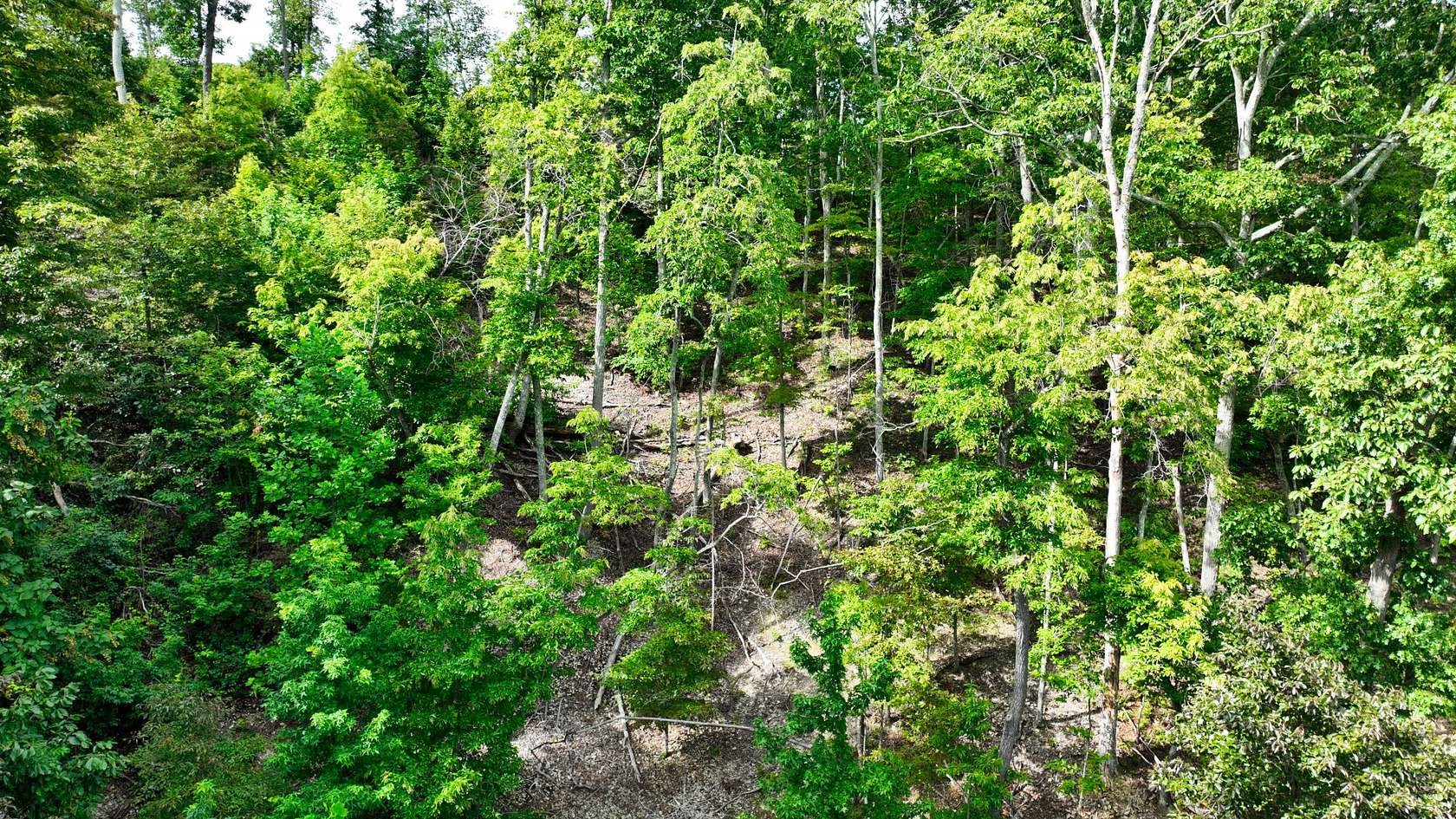 5 Acres of Residential Land for Sale in Stewart, Tennessee
