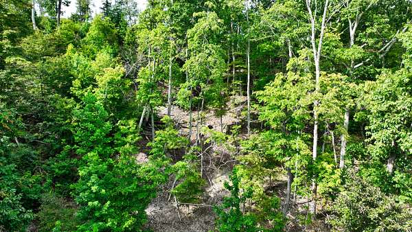 5 Acres of Residential Land for Sale in Stewart, Tennessee