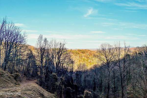 2 Acres of Residential Land for Sale in Sevierville, Tennessee