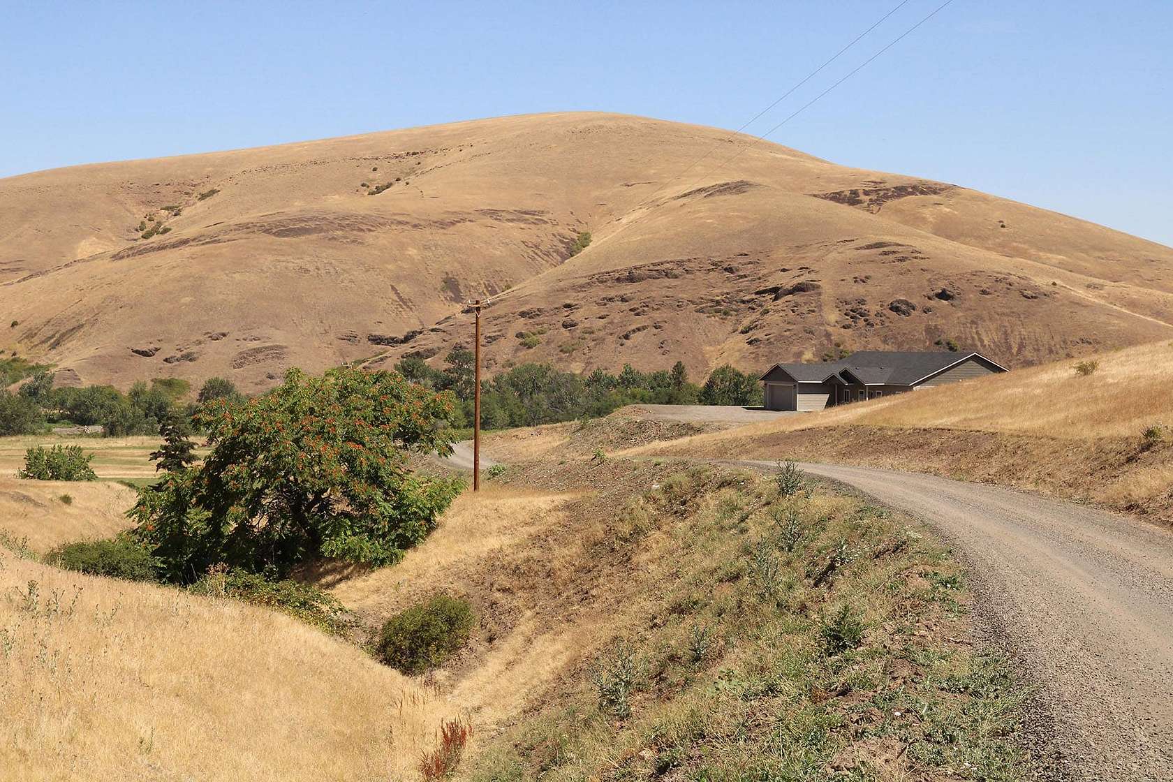 118 Acres of Agricultural & Residential Land for Sale in Pilot Rock, Oregon