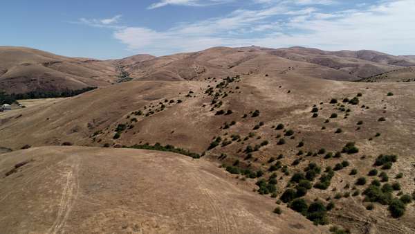 78 Acres of Agricultural & Residential Land for Sale in Pilot Rock, Oregon