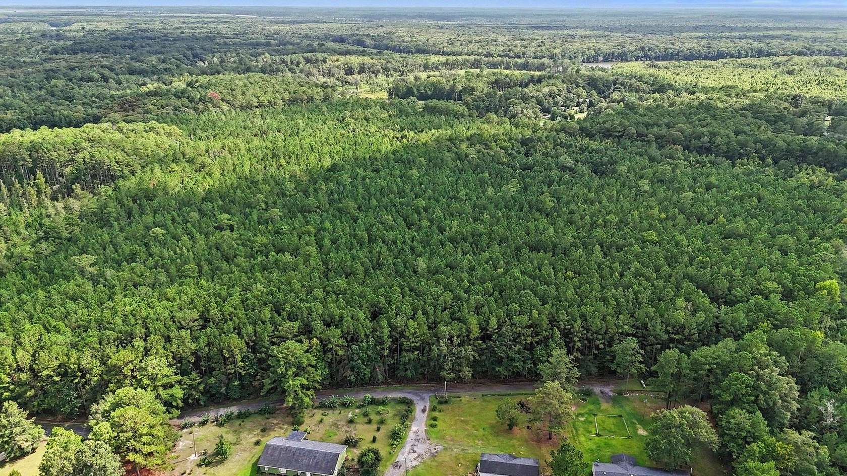 44.5 Acres of Land for Sale in Georgetown, South Carolina