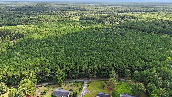 44.5 Acres of Land for Sale in Georgetown, South Carolina
