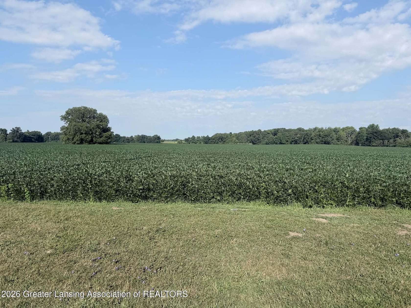 14.5 Acres of Land for Sale in Dimondale, Michigan