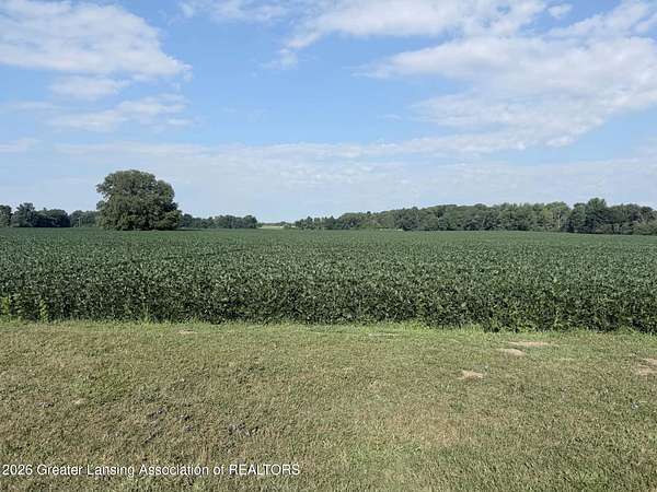 14.5 Acres of Land for Sale in Dimondale, Michigan
