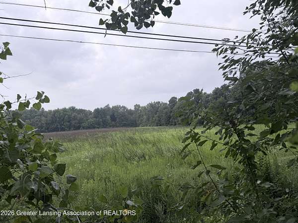 14.5 Acres of Land for Sale in Dimondale, Michigan