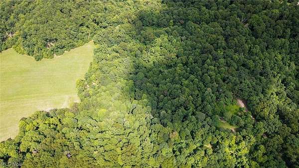 22.9 Acres of Recreational Land for Auction in Dennison, Ohio