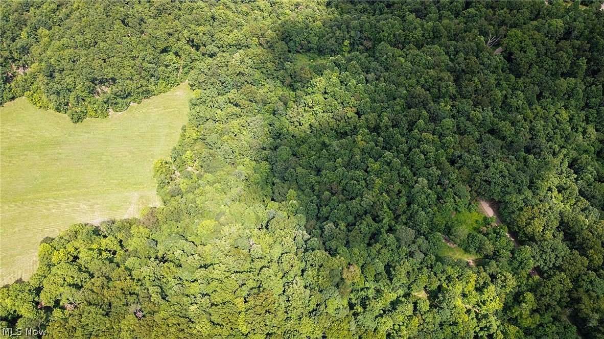 10.4 Acres of Recreational Land for Auction in Dennison, Ohio