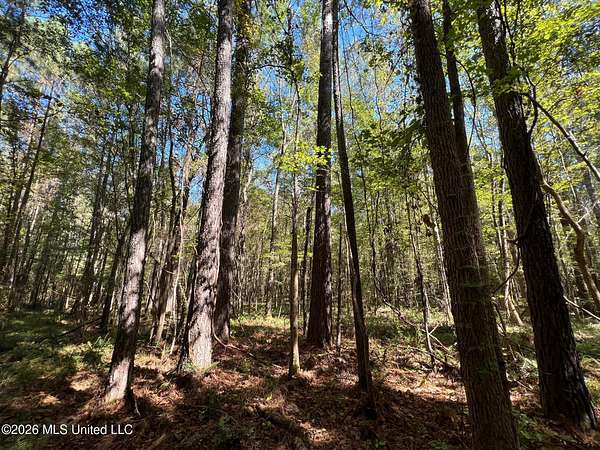 38.4 Acres of Recreational Land for Sale in Roxie, Mississippi