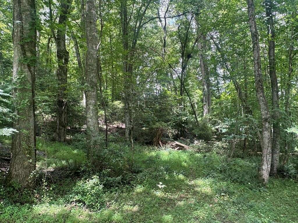 0.9 Acres of Land for Sale in Brasstown, North Carolina