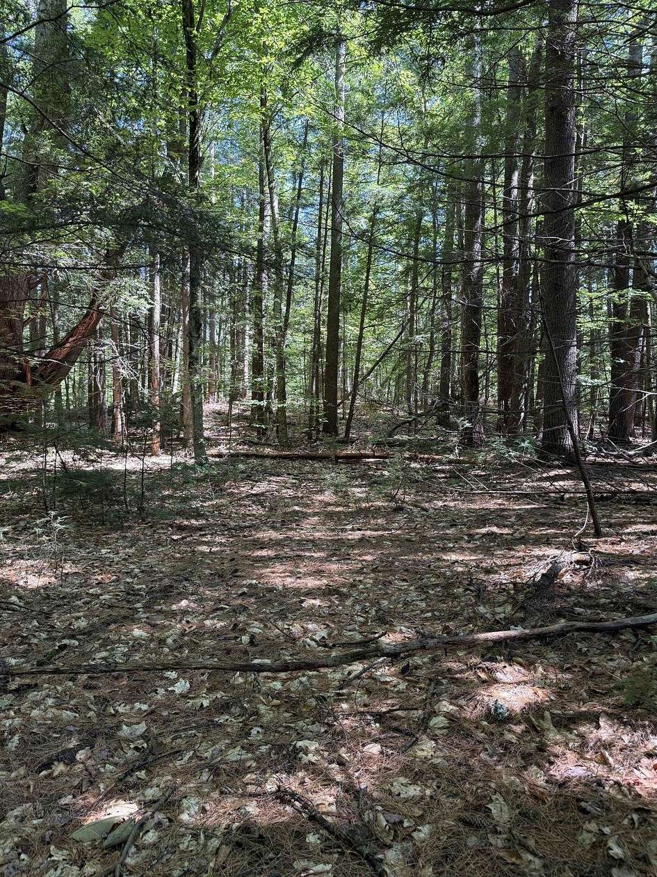 1.6 Acres of Residential Land for Sale in Holderness, New Hampshire