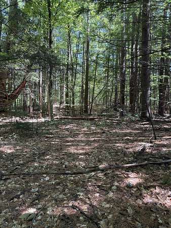 1.6 Acres of Residential Land for Sale in Holderness, New Hampshire