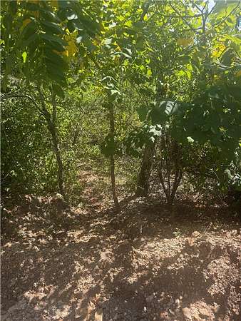 0.15 Acres of Residential Land for Sale in Diamond City, Arkansas