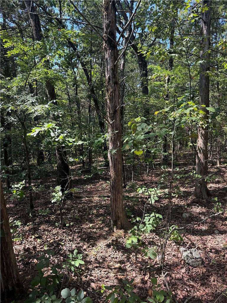 0.15 Acres of Residential Land for Sale in Diamond City, Arkansas