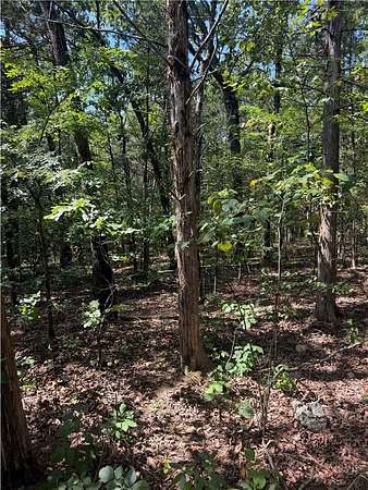 0.15 Acres of Residential Land for Sale in Diamond City, Arkansas