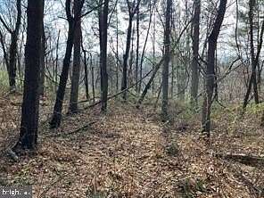 5.45 Acres of Residential Land for Sale in Big Pool, Maryland