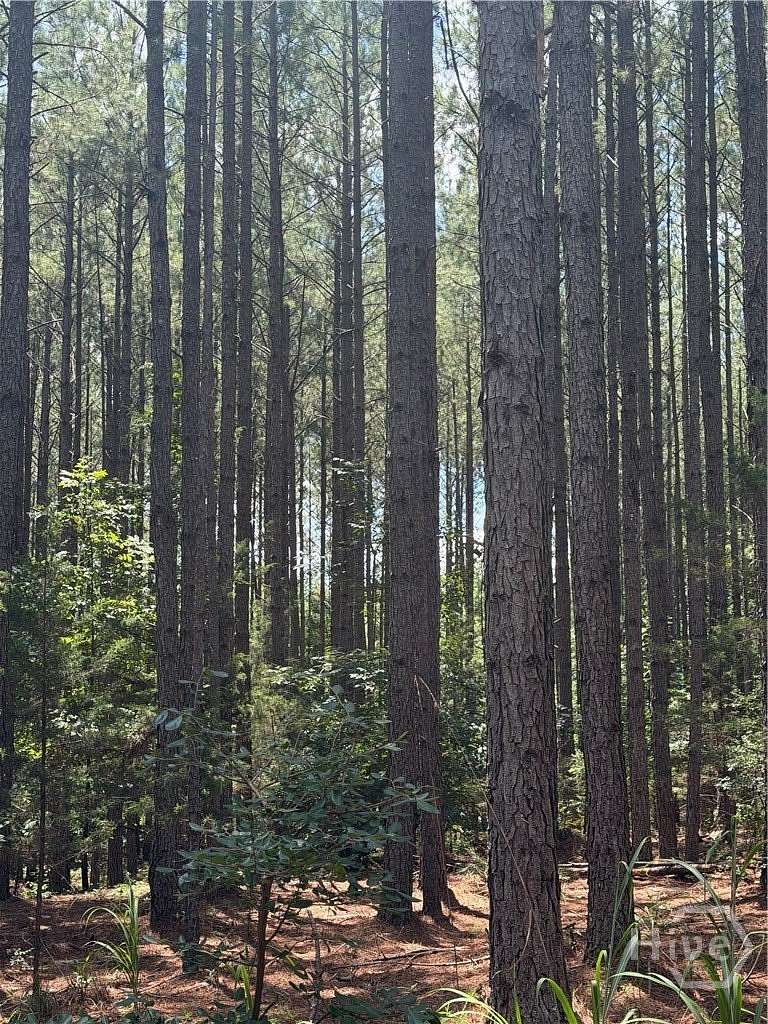 10 Acres of Recreational & Residential Land for Sale in Carlton, Georgia