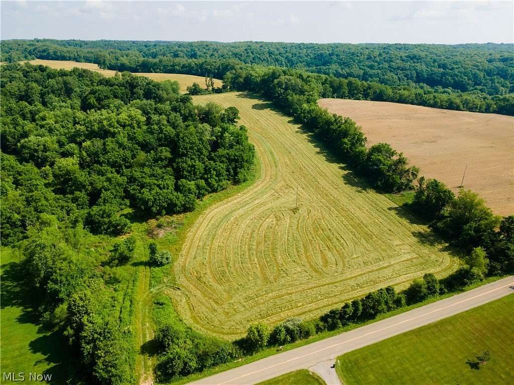 30.9 Acres of Recreational Land for Auction in Dundee, Ohio