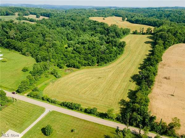 33.2 Acres of Recreational Land for Auction in Dundee, Ohio