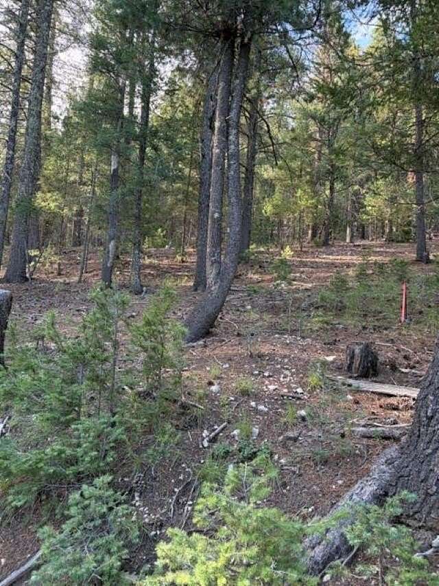 0.15 Acres of Land for Sale in Cloudcroft, New Mexico