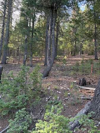 0.15 Acres of Land for Sale in Cloudcroft, New Mexico