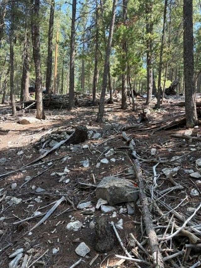 0.04 Acres of Land for Sale in Cloudcroft, New Mexico