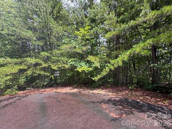 10.1 Acres of Recreational & Residential Land for Sale in Bostic, North Carolina