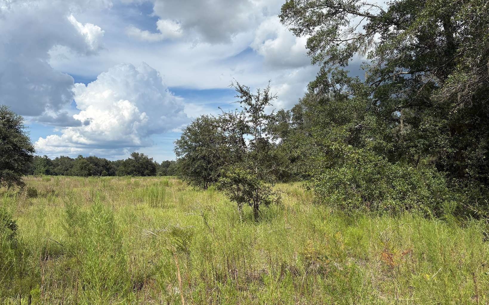 19.1 Acres of Agricultural Land for Sale in Lake City, Florida