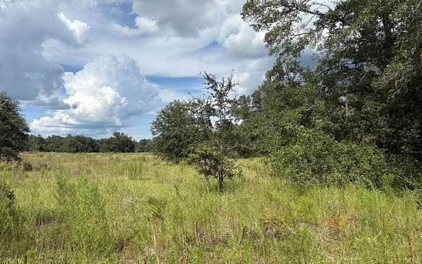 19.1 Acres of Agricultural Land for Sale in Lake City, Florida