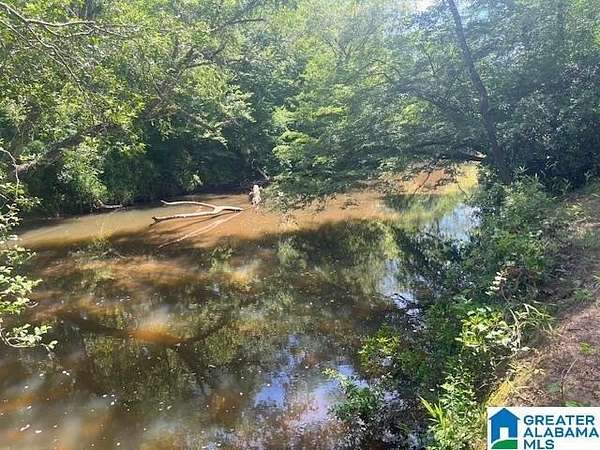 6.5 Acres of Land for Sale in Cragford, Alabama