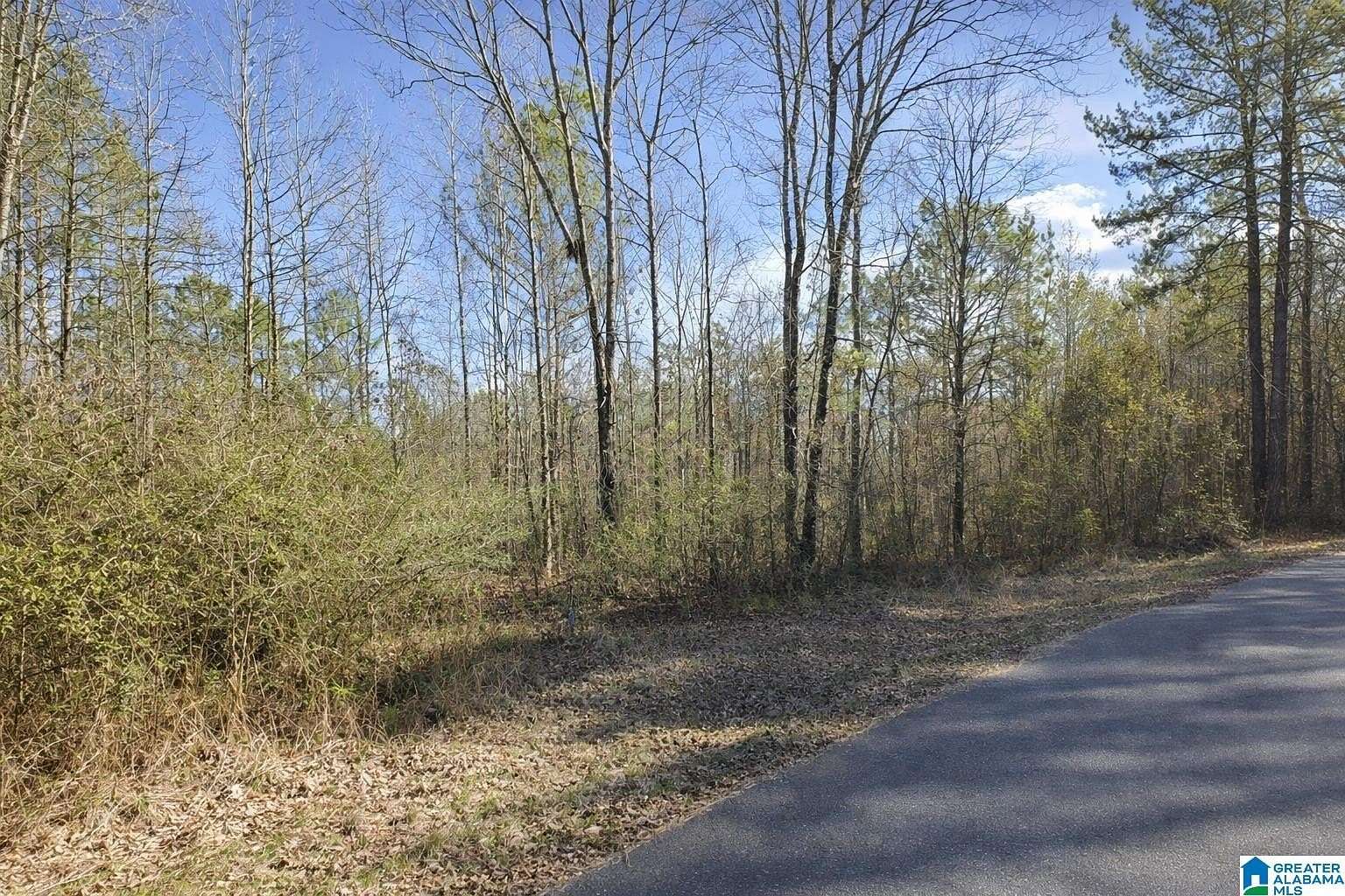 10 Acres of Land for Sale in Dora, Alabama