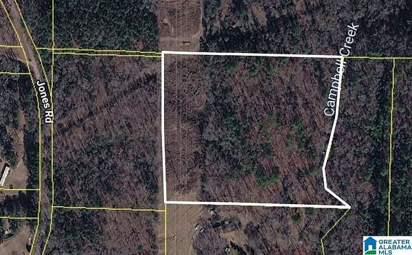 10 Acres of Land for Sale in Dora, Alabama