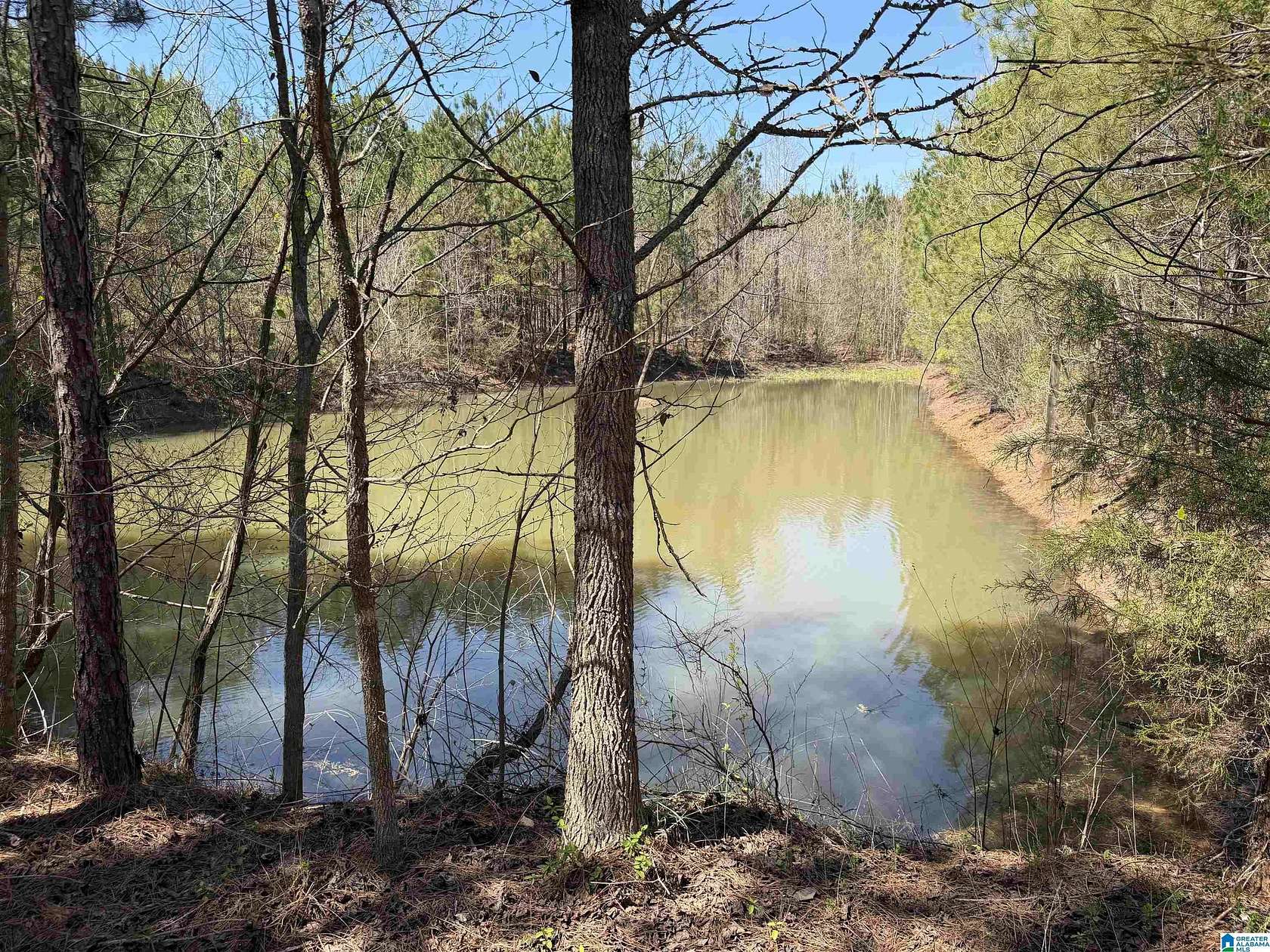 75 Acres of Agricultural Land for Sale in Wadley, Alabama