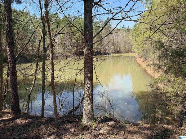 75 Acres of Agricultural Land for Sale in Wadley, Alabama