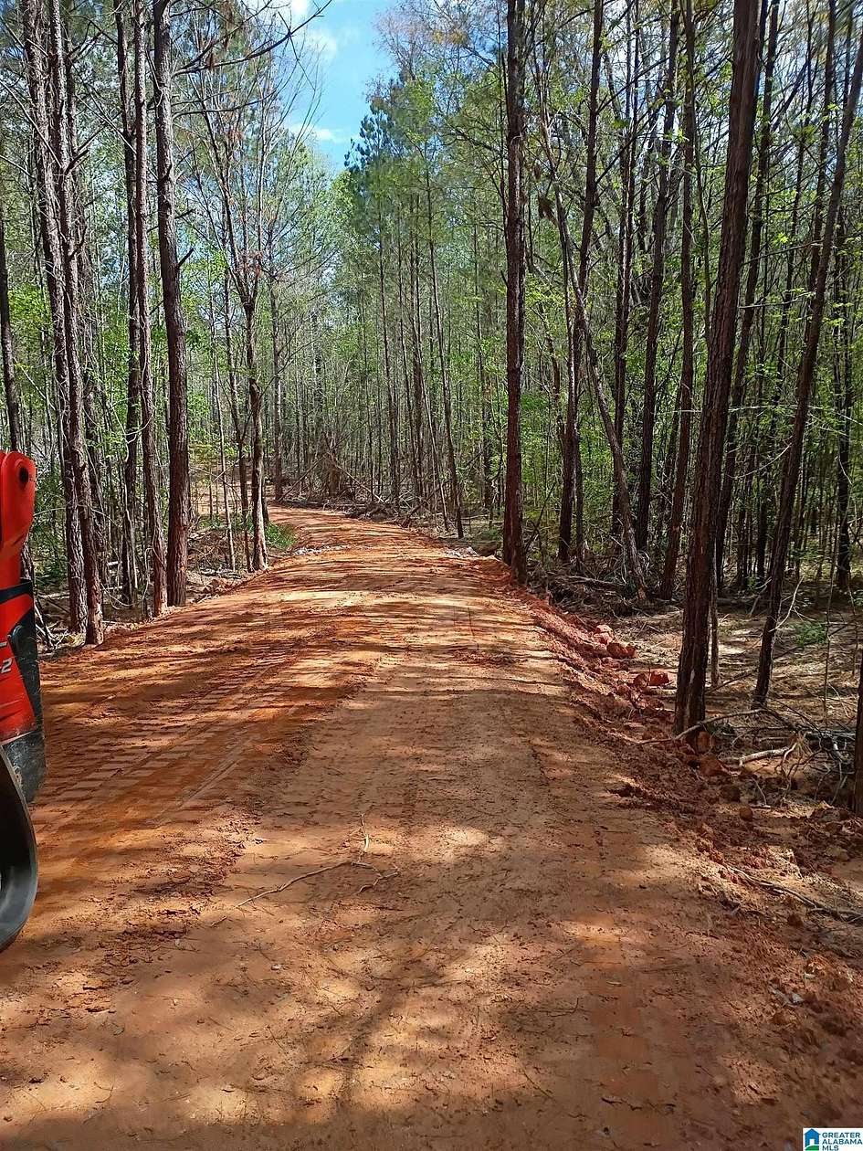 14 Acres of Land for Sale in Weogufka, Alabama