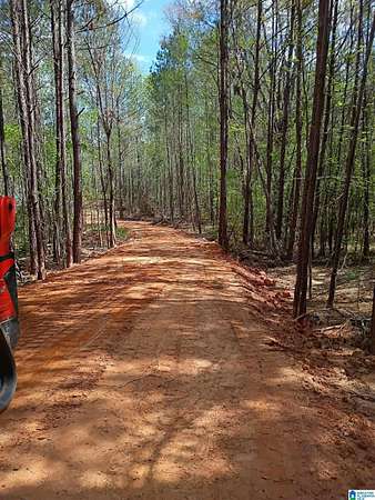 14 Acres of Land for Sale in Weogufka, Alabama