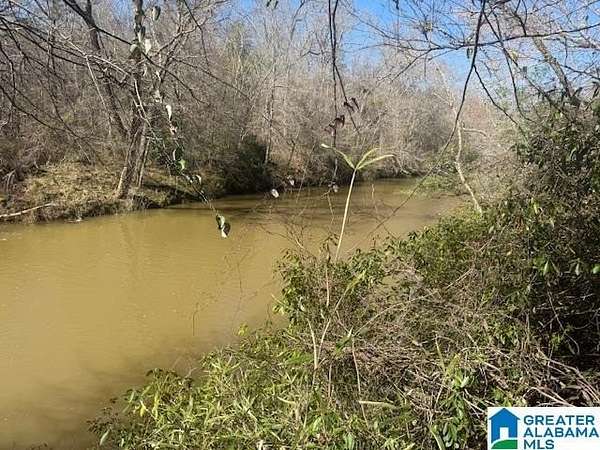 5.53 Acres of Land for Sale in Cragford, Alabama