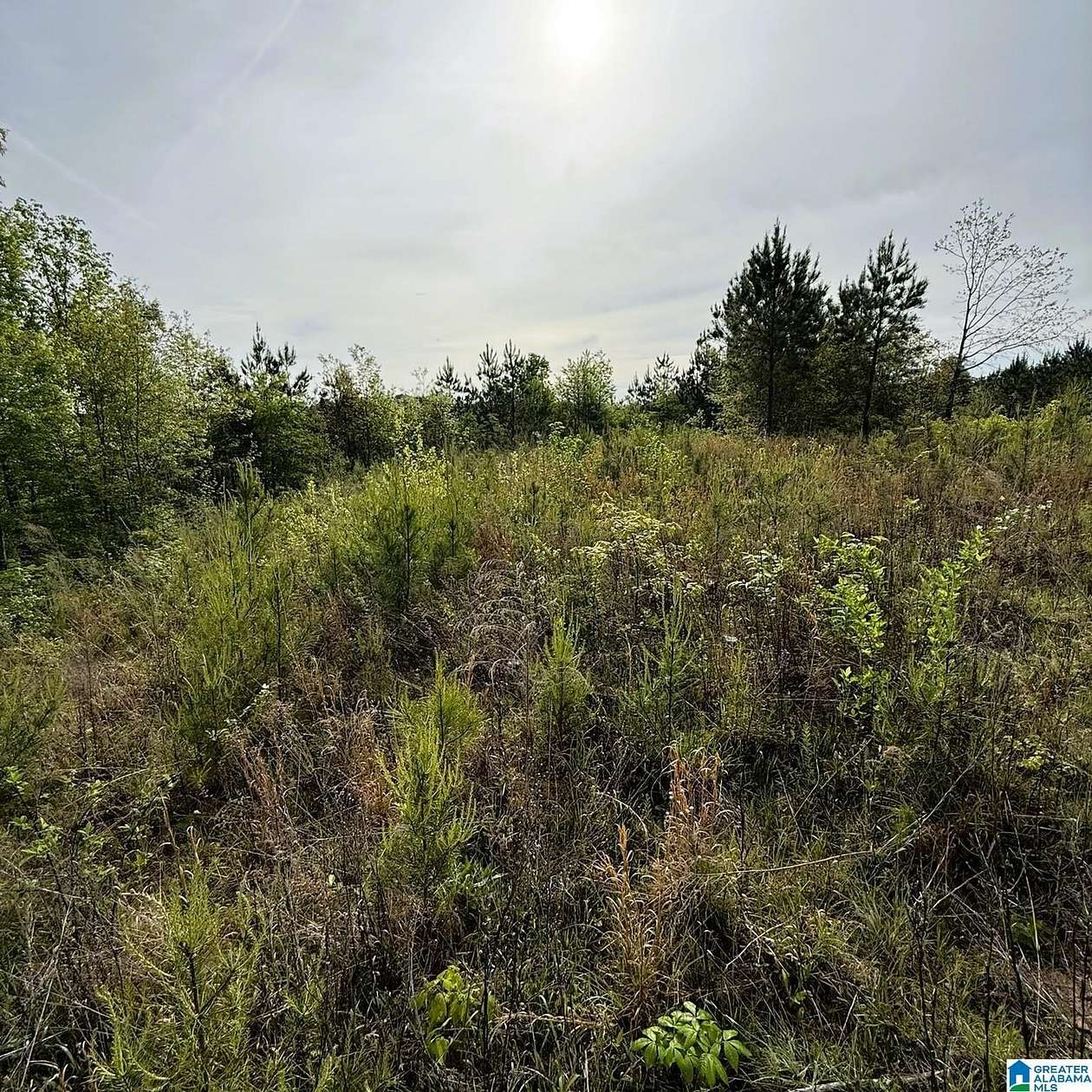 6.2 Acres of Residential Land for Sale in Warrior, Alabama