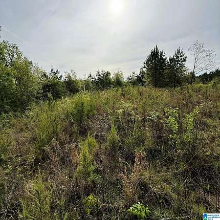 6.2 Acres of Residential Land for Sale in Warrior, Alabama