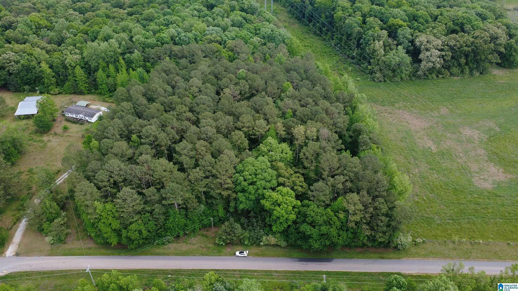 9.1 Acres of Residential Land for Sale in Lineville, Alabama