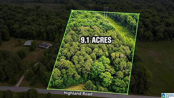 9.1 Acres of Residential Land for Sale in Lineville, Alabama