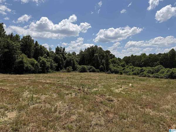 10 Acres of Land for Sale in Roanoke, Alabama