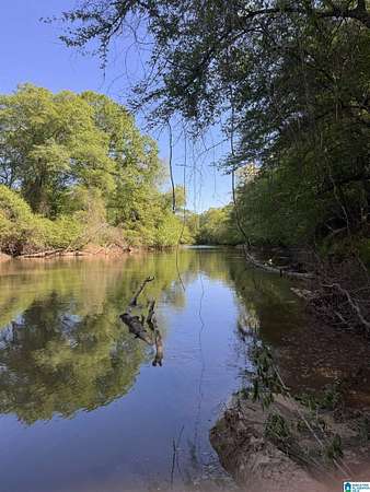 6.5 Acres of Land for Sale in Woodland, Alabama